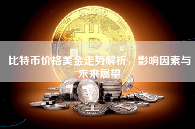 比特币价格美金走势解析,影响因素与未来展望 比特币价格美金走势解析,影响因素与未来展望