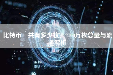 比特币一共有多少枚？2100万枚总量与流通解析