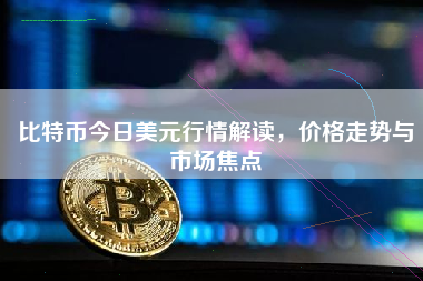 比特币今日美元行情解读，价格走势与市场焦点