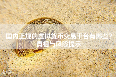 国内正规的虚拟货币交易平台有哪些？真相与风险提示