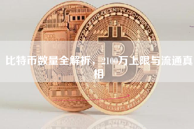 比特币数量全解析,2100万上限与流通真相 比特币数量全解析,2100万上限与流通真相
