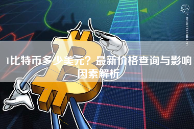 1比特币多少美元？最新价格查询与影响因素解析