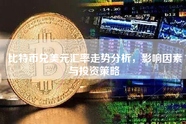 比特币兑美元汇率走势分析，影响因素与投资策略