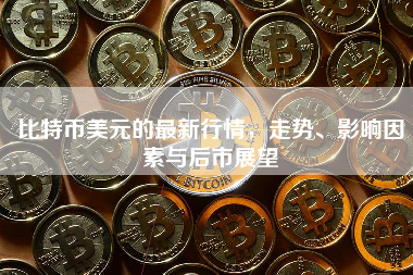 比特币美元的最新行情，走势、影响因素与后市展望