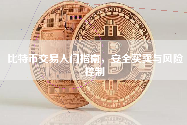 比特币交易入门指南，安全买卖与风险控制