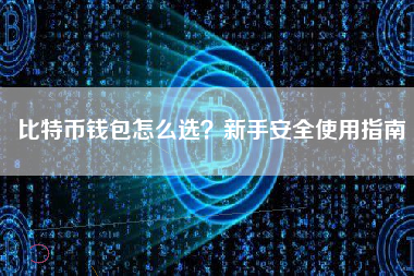 比特币钱包怎么选？新手安全使用指南