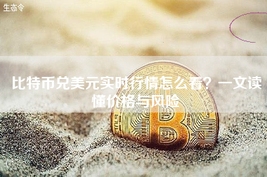 比特币兑美元实时行情怎么看？一文读懂价格与风险