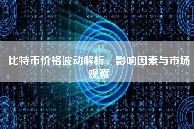 比特币价格波动解析，影响因素与市场观察