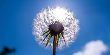 比特币交易行情全解析，2024年趋势与投资指南