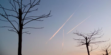 比特币交易行情全解析，2024年趋势与投资指南