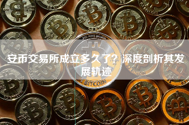 安币交易所成立多久了？深度剖析其发展轨迹