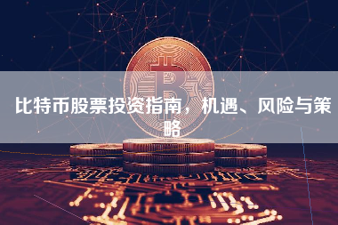 比特币股票投资指南,机遇、风险与策略 比特币股票投资指南,机遇、风险与策略