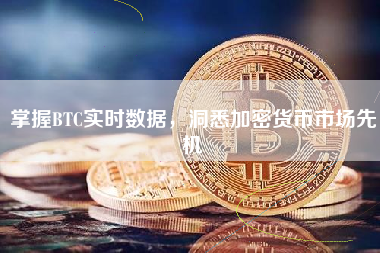 掌握BTC实时数据，洞悉加密货币市场先机