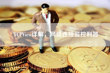 TCPView详解，网络连接监控利器