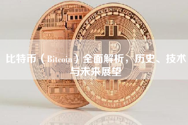 比特币（Bitcoin）全面解析，历史、技术与未来展望