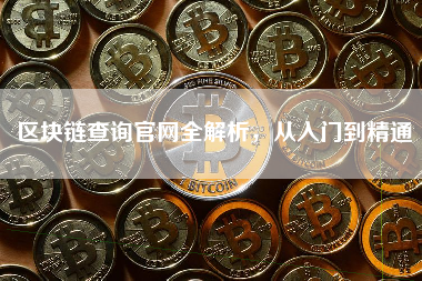 区块链查询官网全解析，从入门到精通