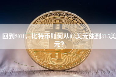 回到2011，比特币如何从0.3美元涨到31.5美元？
