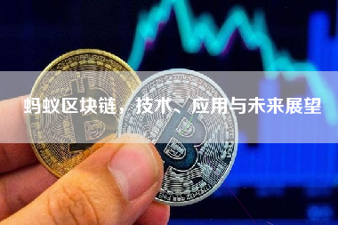 蚂蚁区块链，技术、应用与未来展望