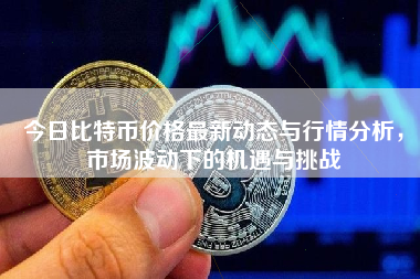 今日比特币价格最新动态与行情分析,市场波动下的机遇与挑战 今日比特币价格最新动态与行情分析,市场波动下的机遇与挑战
