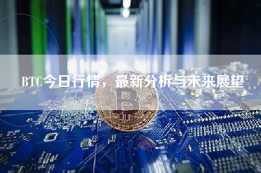 BTC今日行情，最新分析与未来展望