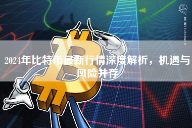 2024年比特币最新行情深度解析，机遇与风险并存