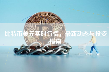 比特币美元实时行情，最新动态与投资指南
