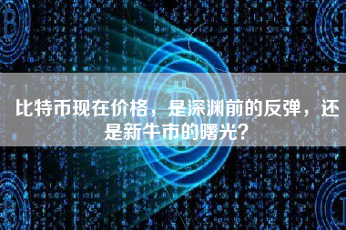 比特币现在价格，是深渊前的反弹，还是新牛市的曙光？