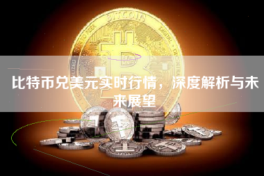 比特币兑美元实时行情，深度解析与未来展望