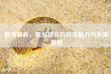新币解析，新加坡元的投资魅力与未来展望