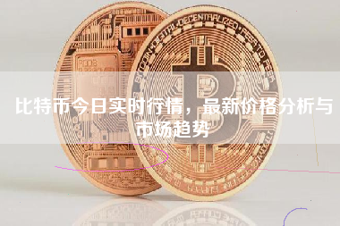 比特币今日实时行情，最新价格分析与市场趋势