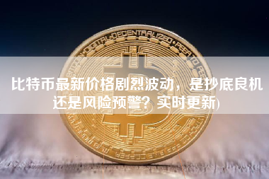 比特币最新价格剧烈波动，是抄底良机还是风险预警？实时更新)