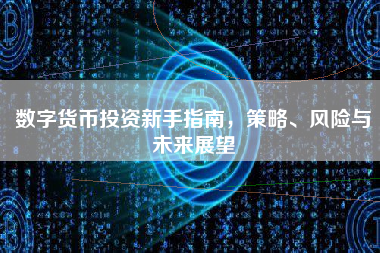 数字货币投资新手指南,策略、风险与未来展望 数字货币投资新手指南,策略、风险与未来展望