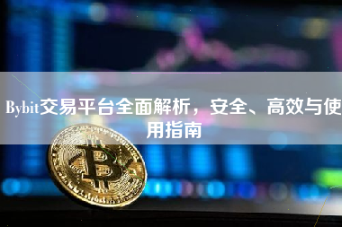 Bybit交易平台全面解析，安全、高效与使用指南