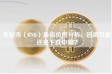 币安币（BNB）最新价格分析，回调见底还是下跌中继？