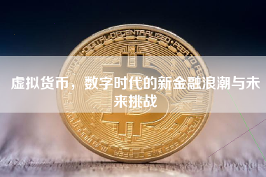 虚拟货币，数字时代的新金融浪潮与未来挑战