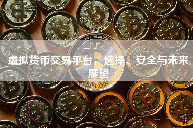 虚拟货币交易平台，选择、安全与未来展望