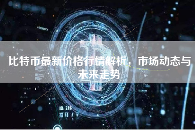 比特币最新价格行情解析，市场动态与未来走势